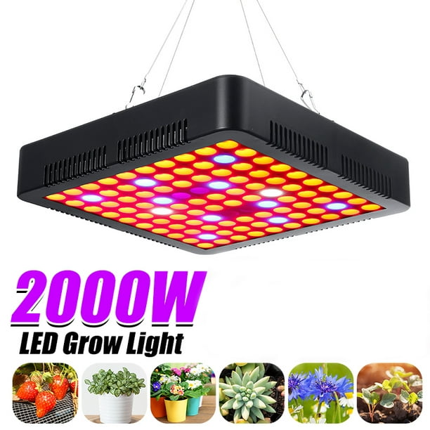 3000W 2000W 1800W 1500W 1000W LED Grow Lights Full Spectrum Indoor Plants Panel